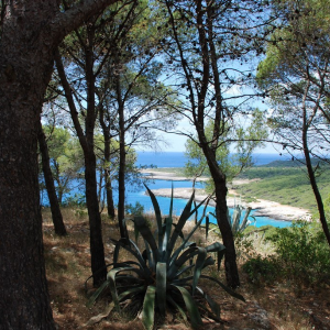 stabilimenti balneari Nardò