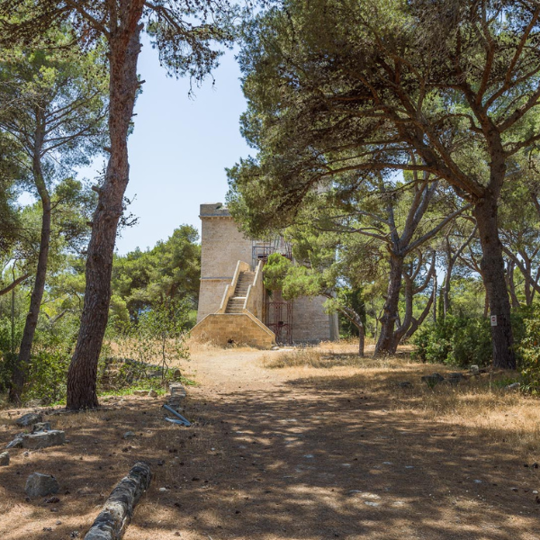 Torre Santa Caterina a Nardò
